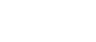 Microsoft Partner